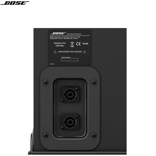 Loa Bose L1 Model 1S 11